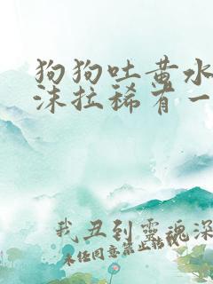 狗狗吐黄水带泡沫拉稀有一点带血