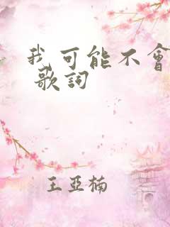 我可能不会爱你 歌词
