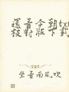还看今朝txt校对版下载