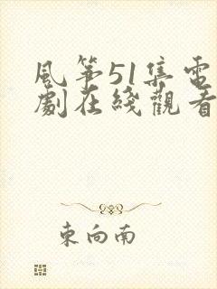 风筝51集电视剧在线观看免费全集