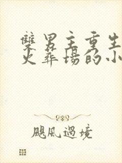 双男主重生追夫火葬场的小说