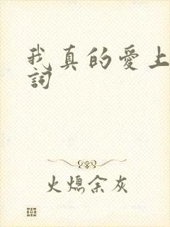 我真的爱上你歌词