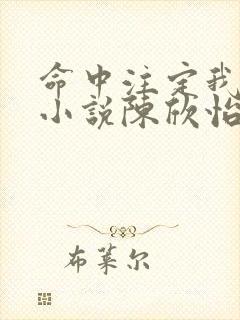 命中注定我爱你小说陈欣怡纪存希