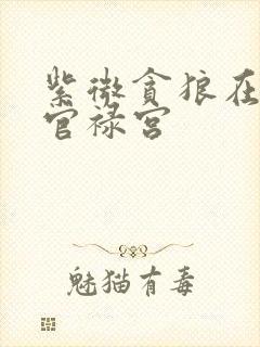 紫微贪狼在卯坐官禄宫