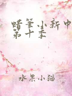 蜡笔小新中文版第十季