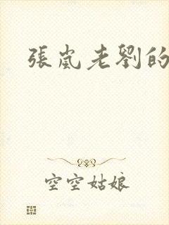 张岚老刘的小说