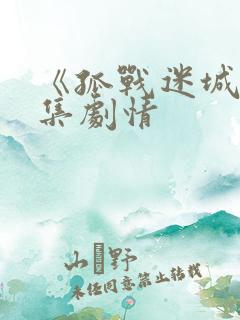 《孤战迷城》分集剧情