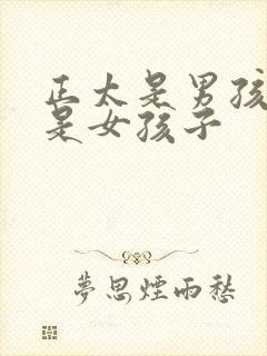 正太是男孩子还是女孩子