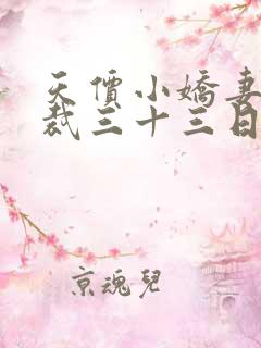 天价小娇妻 总裁三十三日索情