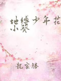 地缚少年花子君小葵