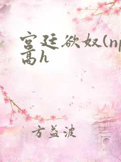 宫廷欲奴(np高h