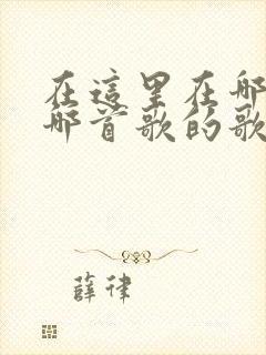 在这里在哪里是哪首歌的歌词