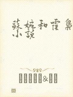 苏婉和霍枭寒的小说