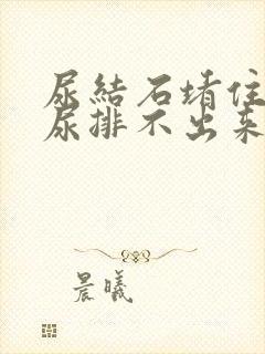 尿结石堵住尿道尿排不出来怎么办