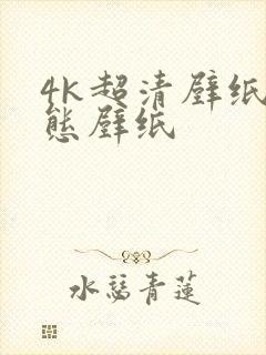 4k超清壁纸动态壁纸