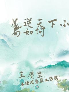 凤逆天下小说结局如何