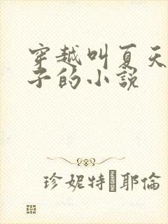 穿越叫夏天九皇子的小说