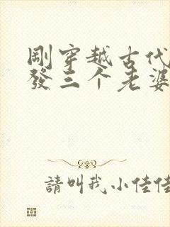 刚穿越古代官府发三个老婆的小说