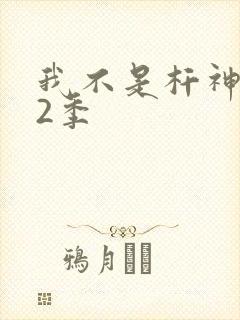 我不是杆神锤锤2季
