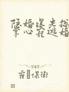 隐婚曝光总裁的掌心宠逃婚了贺聿舟小说阅