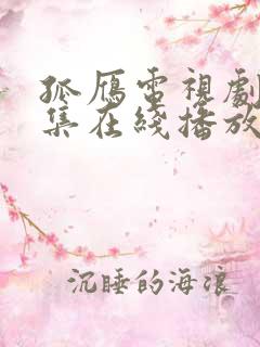 孤雁电视剧45集在线播放免费观看