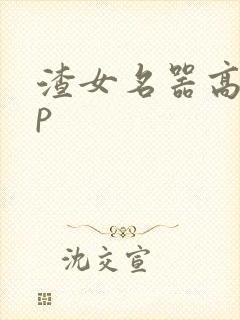 渣女名器高hnp