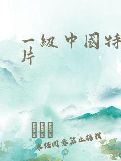 一级中国特黄大片