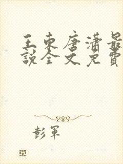 王东唐潇最新小说全文免费阅读王东唐晓短剧