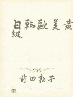 日韩欧美黄色一级