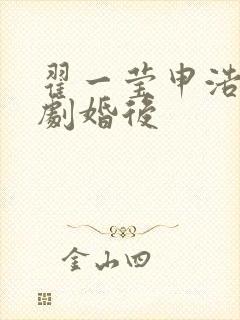 翟一莹申浩南短剧婚后