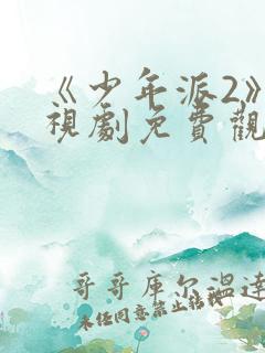 《少年派2》电视剧免费观看