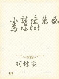 小说亿万盛宠只为你txt