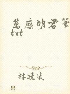 万历明君笔趣阁txt