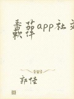 番茄app社交软件