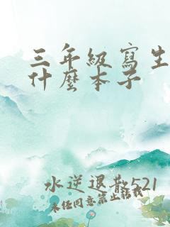 三年级写生字用什么本子