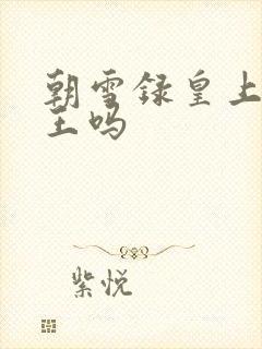 朝雪录皇上是义王吗