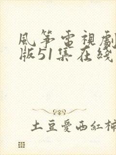 风筝电视剧送审版51集在线
