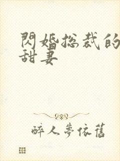 闪婚总裁的契约甜妻