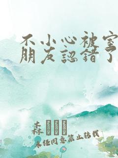 不小心被室友男朋友认错了宁笑阿温作者