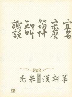 谢知筠宋宜岚小说叫什么名字