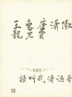 王东唐潇傲世潜龙免费