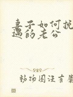 妻子如何挽回外遇的老公