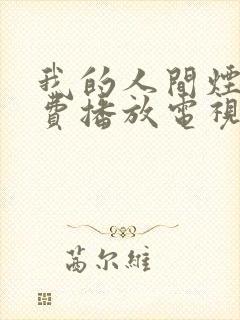 我的人间烟火免费播放电视剧