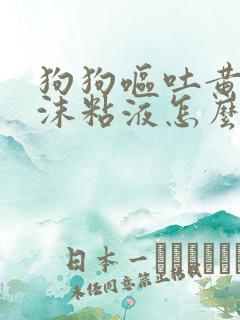 狗狗呕吐黄水泡沫粘液怎么了