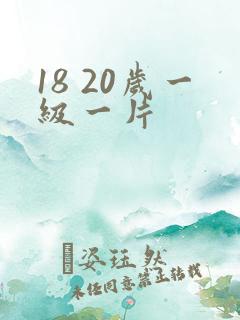 18 20岁一级一片