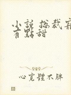 小说 总裁宠妻有点甜