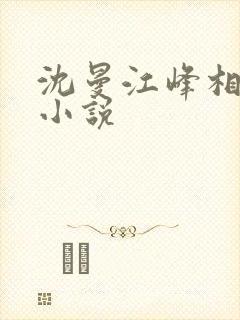 沈曼江峰相关的小说