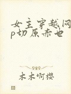 女主穿越网王cp切原赤也
