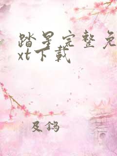 踏星完整免费txt下载