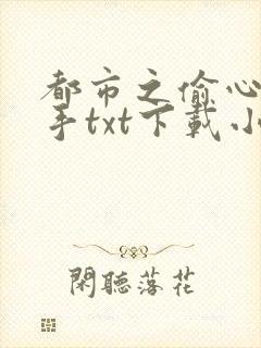 都市之偷心龙爪手txt下载小说